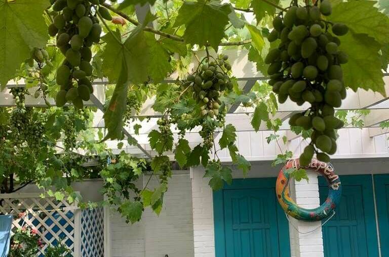 Изображение Изображение гостиницы &quot;Гостевой дом «Акварель»&quot; #2 #2