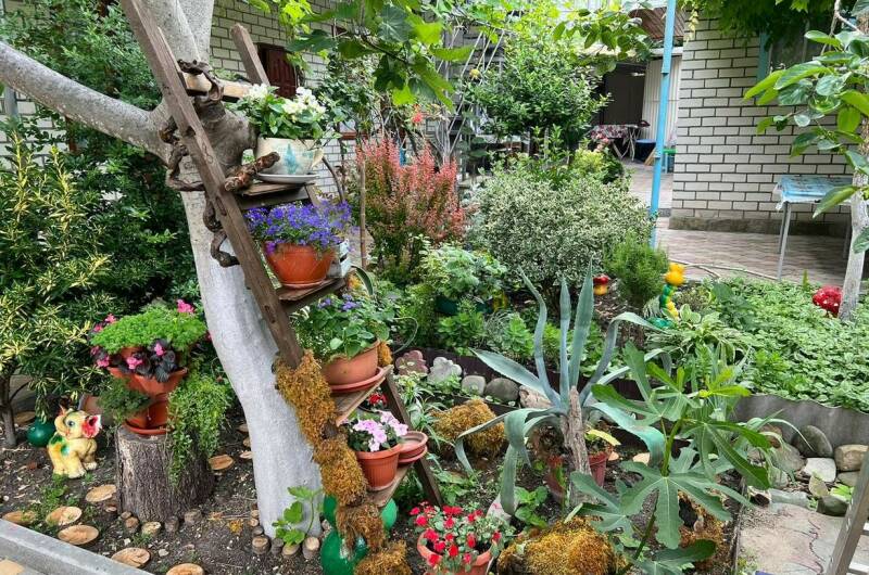 Изображение Изображение гостиницы &quot;Гостевой дом «Георгий»&quot; #2 #2