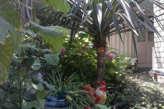 Изображение Изображение гостиницы &quot;Гостевой дом «Георгий»&quot; #5 #5