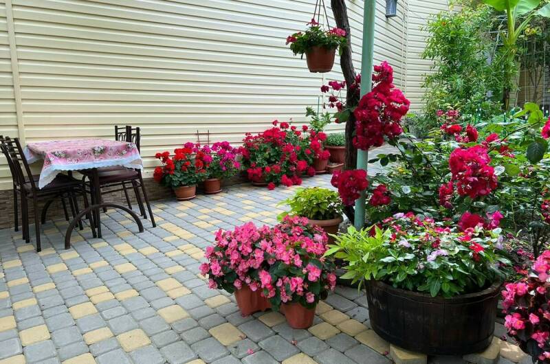 Изображение Изображение гостиницы &quot;Гостевой дом «Георгий»&quot; #6 #6