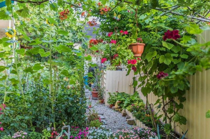 Изображение Изображение гостиницы &quot;Гостевой дом «Георгий»&quot; #7 #7