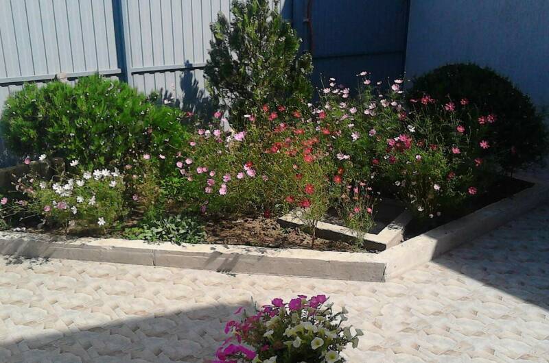 Изображение Изображение квартиры &quot;Этаж под ключ «У Захаровны»&quot; #7 #7