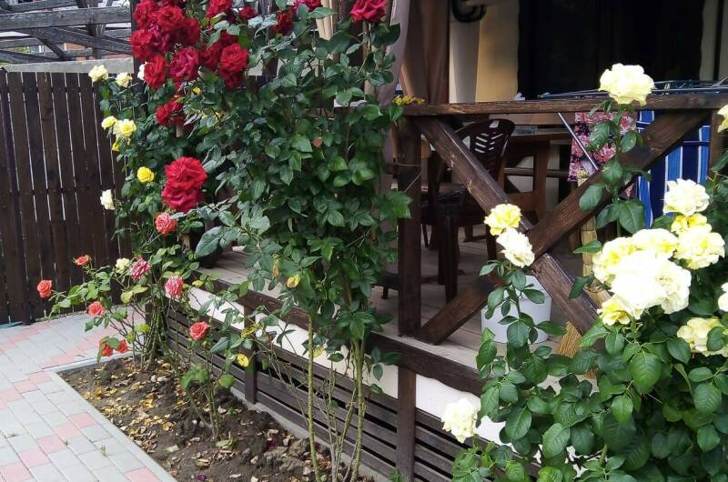 Изображение Изображение квартиры "Дом под ключ" #1 #1