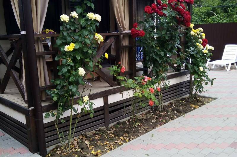 Изображение Изображение квартиры "Дом под ключ" #2 #2