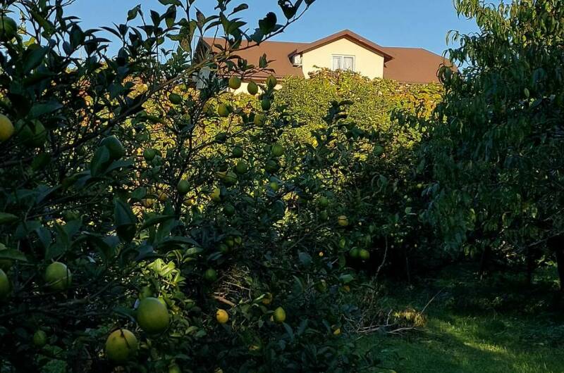 Изображение Изображение гостиницы &quot;Гостевой дом «Лето»&quot; #2 #2