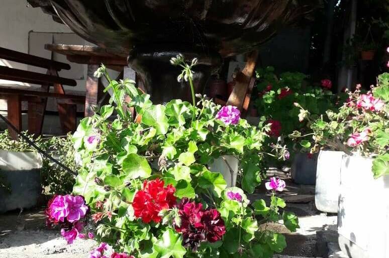 Изображение Изображение отеля / гостиницы "Гостевой дом «У Артура»" #11 #9