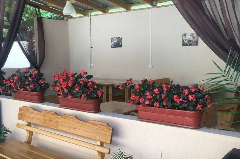 Изображение Изображение гостиницы &quot;Гостевой дом «Z e f i r»&quot; #8 #8