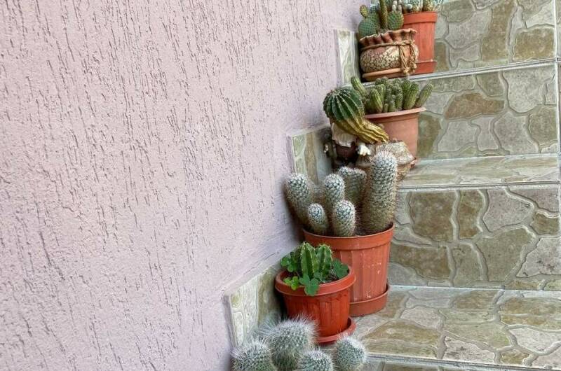 Изображение Изображение гостиницы "Гостевой дом «Валентина»" #5 #5