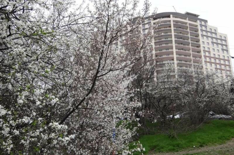 Изображение Изображение гостиницы &quot;Апартаменты «ЖК Алмаз»&quot; #5 #5