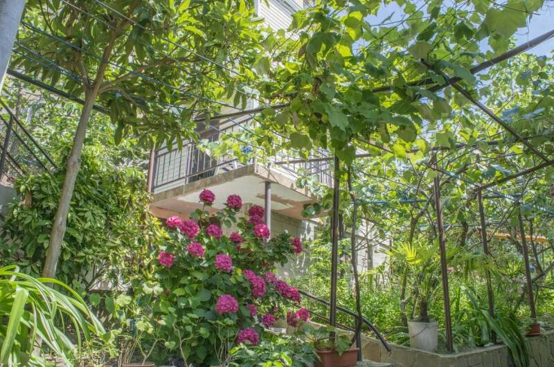 Изображение Изображение отеля / гостиницы "Гостевой дом «ТепЛоо»" #10 #8