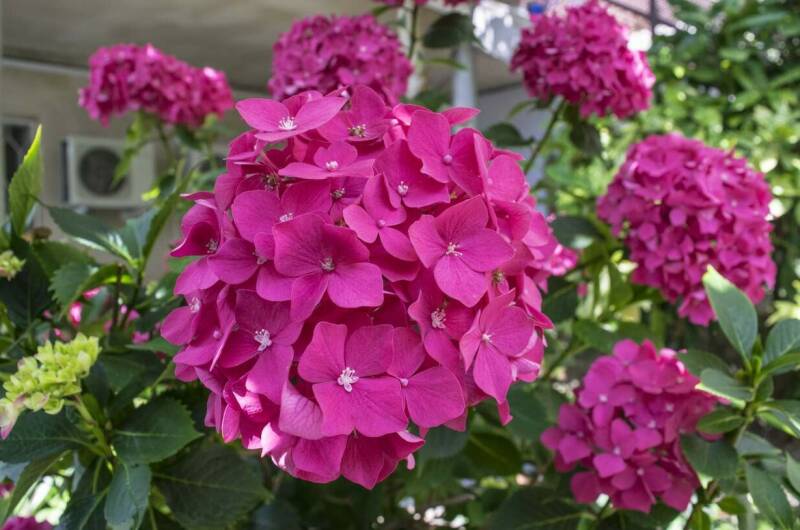 Изображение Изображение отеля / гостиницы "Гостевой дом «ТепЛоо»" #11 #9