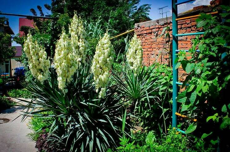 Изображение Изображение гостиницы &quot;Гостевой дом «Отдых»&quot; #3 #3