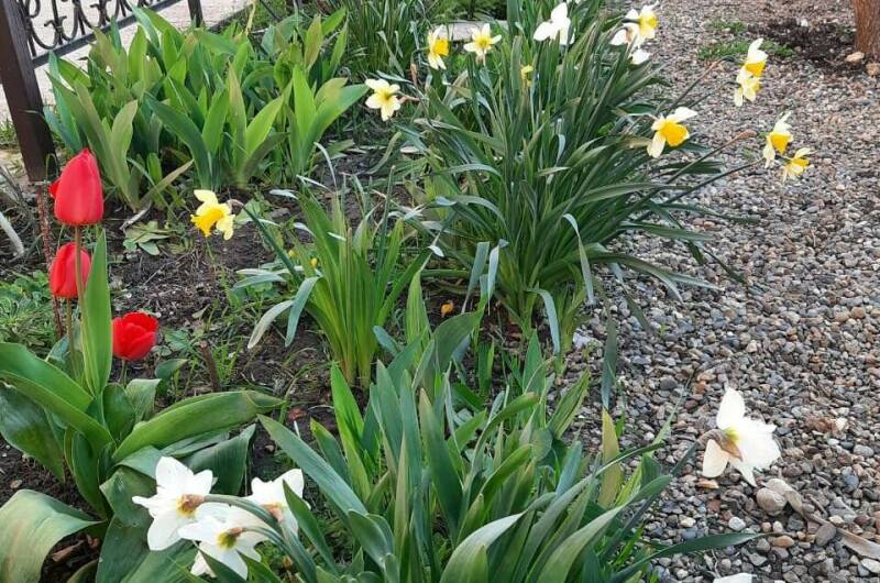 Изображение Изображение гостиницы &quot;Гостевой дом «Южный кипарис»&quot; #3 #3