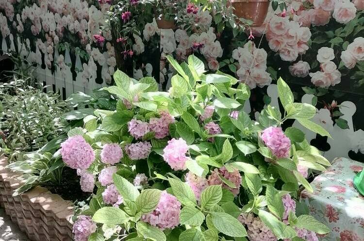 Изображение Изображение гостиницы &quot;Гостевой дом «На Тургенева»&quot; #4 #4