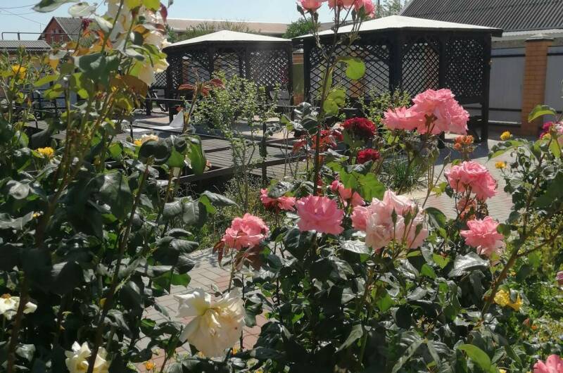 Изображение Изображение гостиницы "Гостевой дом «Лазурный»" #6 #6