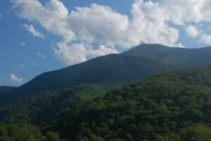 Изображение Гостевой дом «Боцман» #4