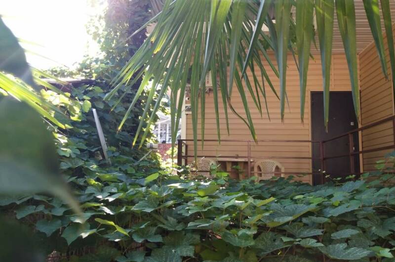 Изображение Изображение гостиницы "Гостевой дом «Виноградный дворик»" #2 #2