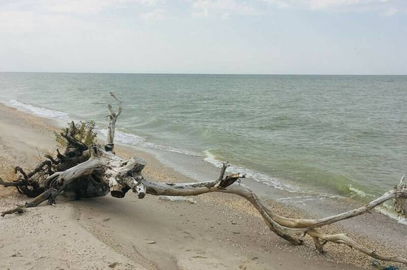 Изображение Изображение гостиницы &quot;Гостевой дом «Морской»&quot; #5 #5