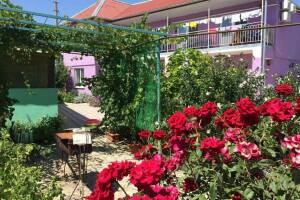 Изображение отеля / гостиницы "Гостевой дом «Фортуна»"