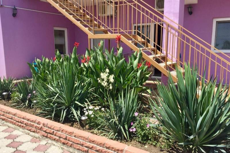 Изображение Изображение гостиницы &quot;Гостевой дом «Фортуна»&quot; #7 #7