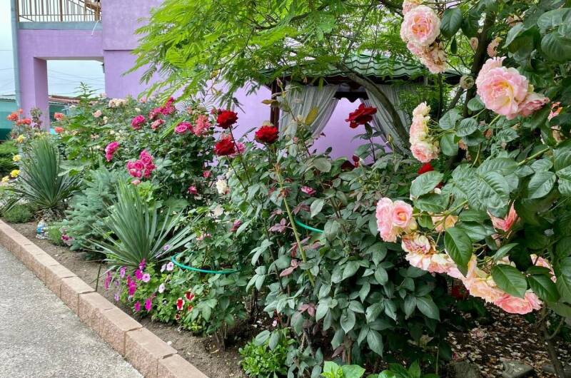 Изображение Изображение гостиницы &quot;Гостевой дом «Фортуна»&quot; #8 #8