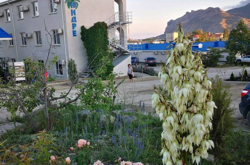 Изображение Изображение гостиницы &quot;База отдыха «Андре»&quot; #1 #1