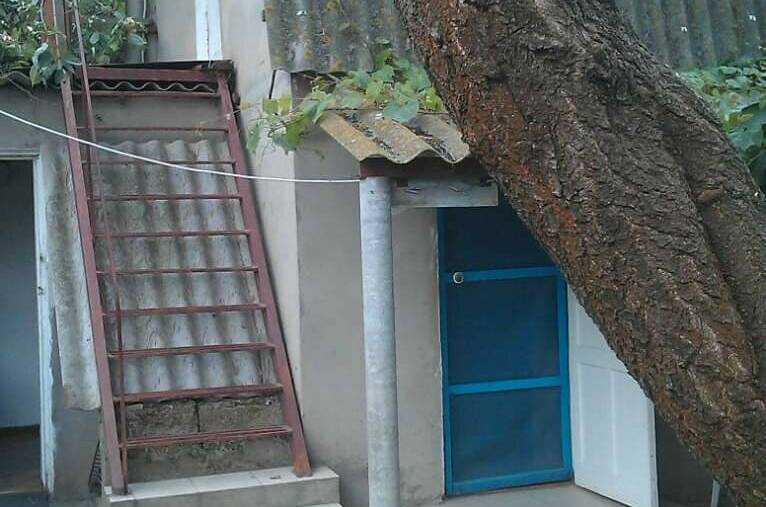 Изображение Изображение гостиницы &quot;Частный сектор «Белая чайка»&quot; #2 #2