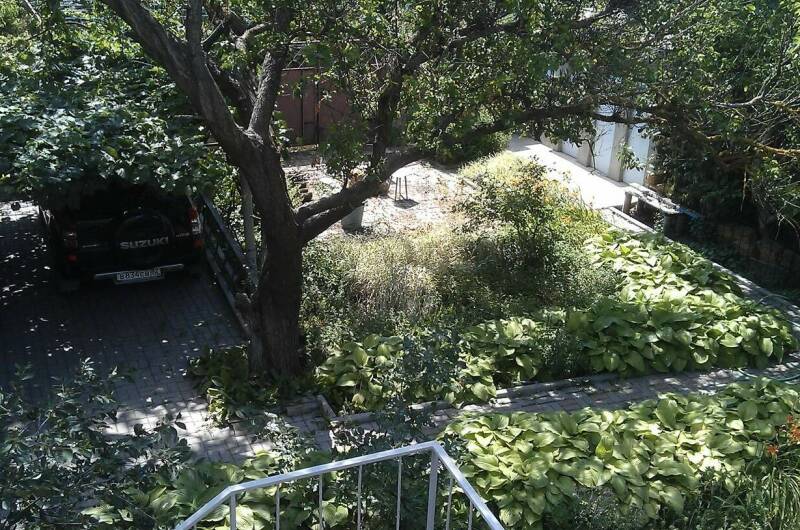 Изображение Изображение гостиницы &quot;Частный сектор «Белая чайка»&quot; #5 #5