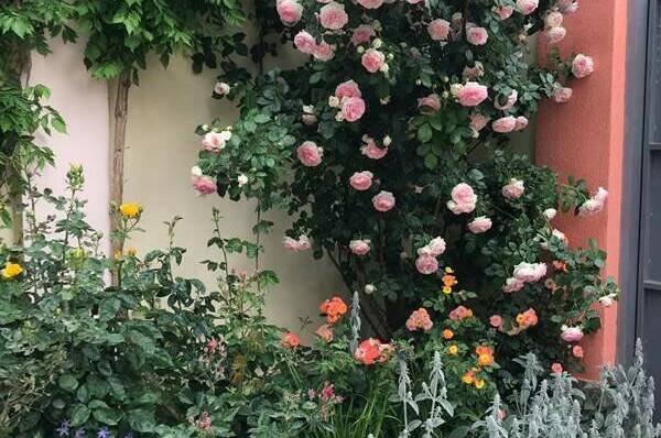 Изображение Изображение гостиницы &quot;Гостевой двор «Шарм»&quot; #4 #4