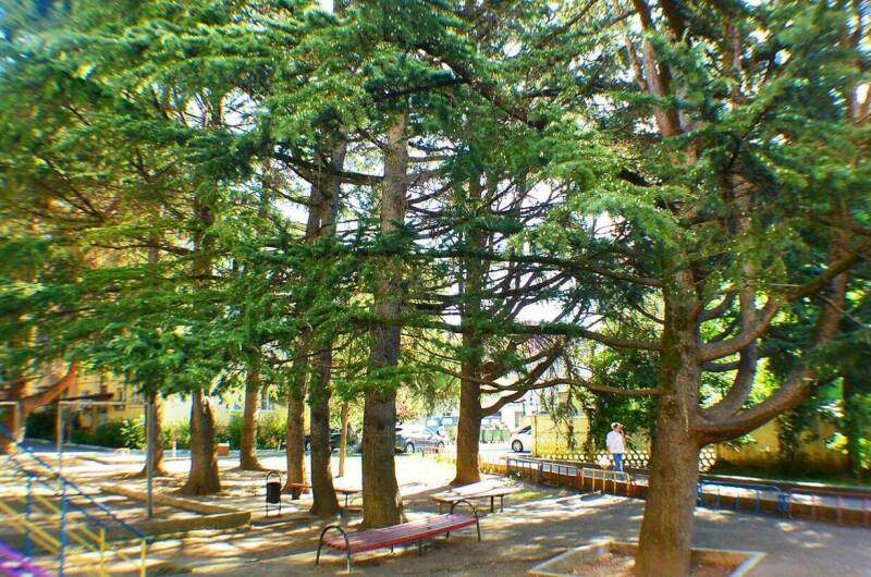 Изображение Изображение квартиры "Студия в центре" #4 #4