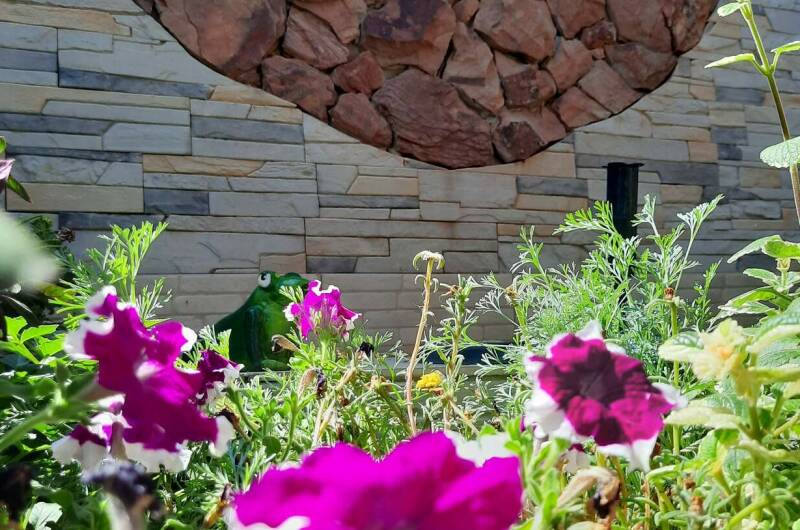 Изображение Изображение гостиницы &quot;Гостевой дом «У Зои Николаевны»&quot; #7 #7