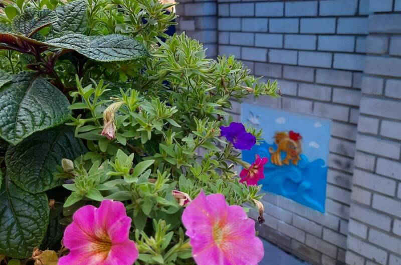 Изображение Изображение отеля / гостиницы "Гостевой дом «У Зои Николаевны»" #10 #8