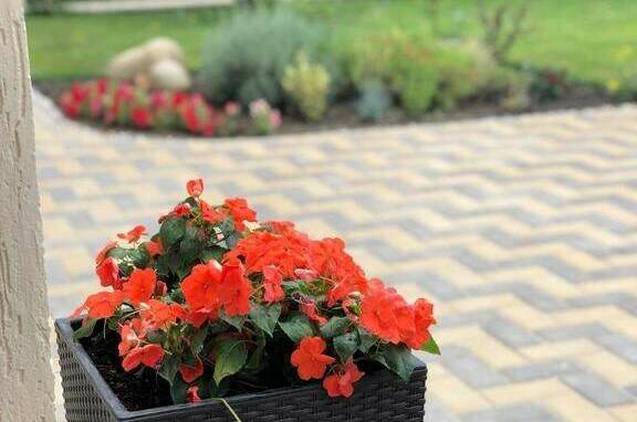 Изображение Изображение отеля / гостиницы "Гостевой дом «Фаворит»" #10 #8