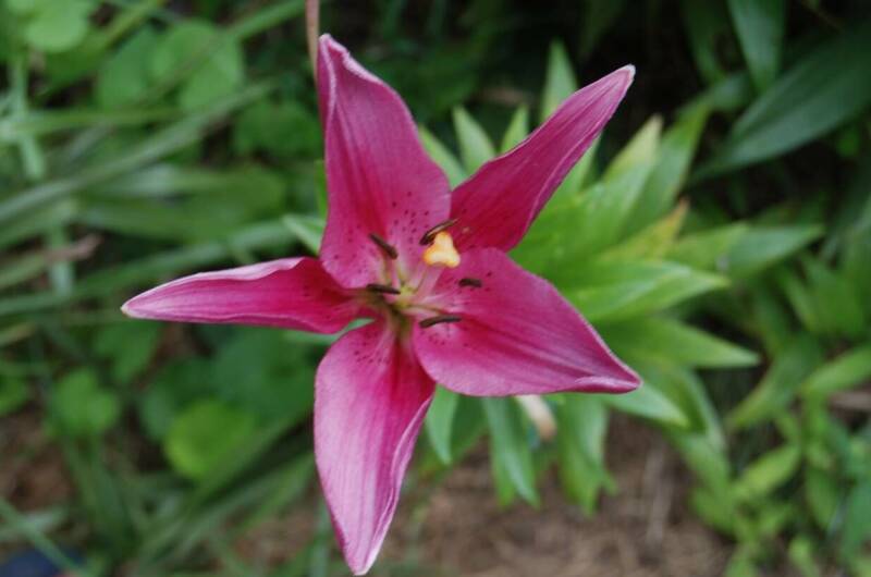 Изображение Изображение квартиры &quot;Однокомнатная квартира на Революции&quot; #4 #4