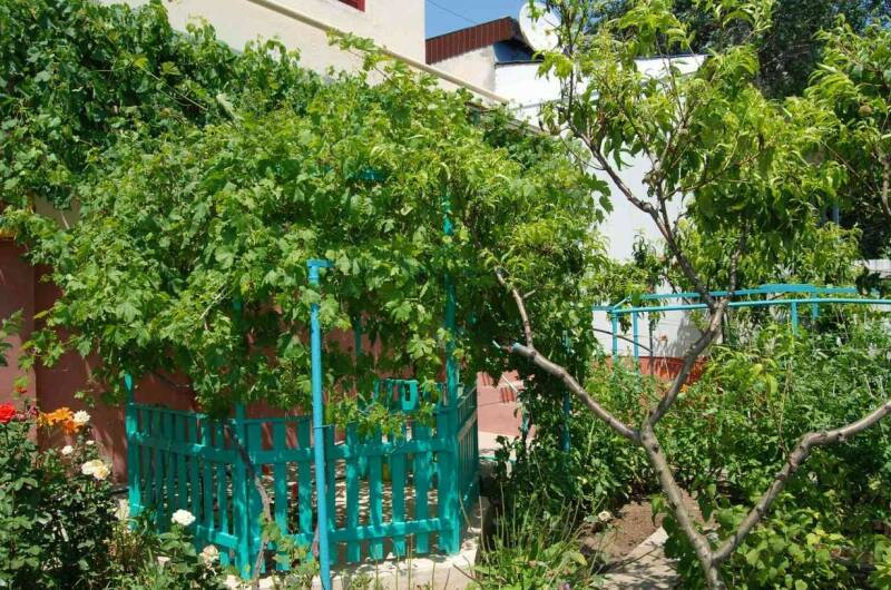 Изображение Изображение квартиры &quot;Однокомнатная квартира на Революции&quot; #5 #5