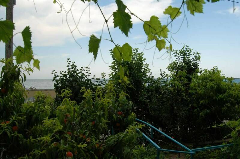 Изображение Изображение квартиры &quot;Однокомнатная квартира на Революции&quot; #7 #7