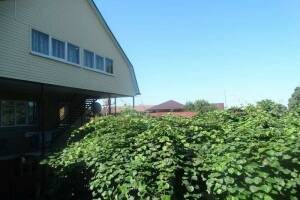 Изображение гостиницы "Гостевой дом «У Азы»"