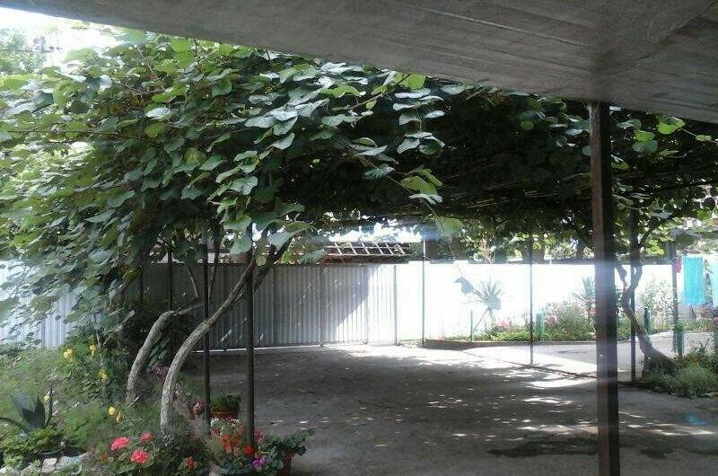 Изображение Изображение отеля / гостиницы "Гостевой дом «У Азы»" #11 #9