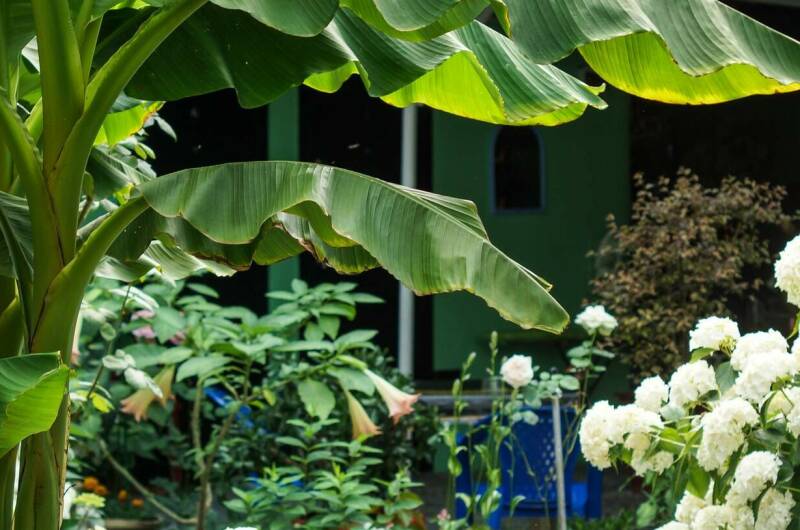 Изображение Изображение гостиницы &quot;Частный сектор «У моря»&quot; #5 #5