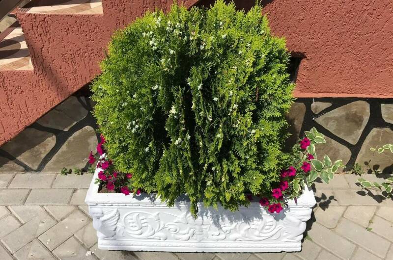 Изображение Изображение гостиницы &quot;Отель «Пекан»&quot; #7 #7