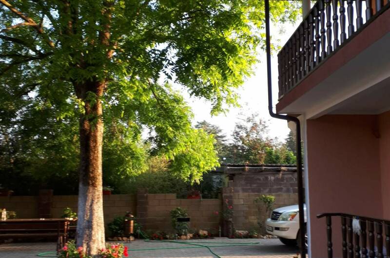 Изображение Изображение отеля / гостиницы "Отель «Пекан»" #10 #8