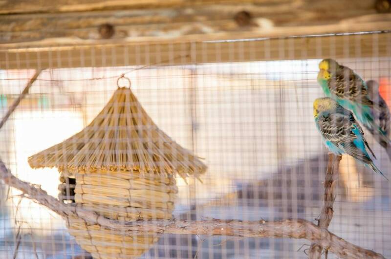 Изображение Изображение гостиницы "Гостевой дом «Rose Manor»" #7 #7