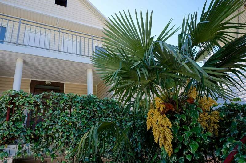 Изображение Изображение гостиницы "Гостевой дом «Морской бриз»" #4 #4