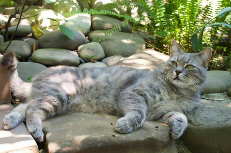 Изображение Изображение отеля / гостиницы "Гостевой дом «Морской бриз»" #11 #9