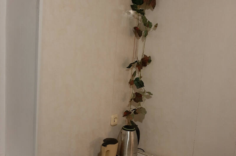 Изображение Изображение квартиры / апартамента "Однокомнатная квартира на берегу моря" #8 #8