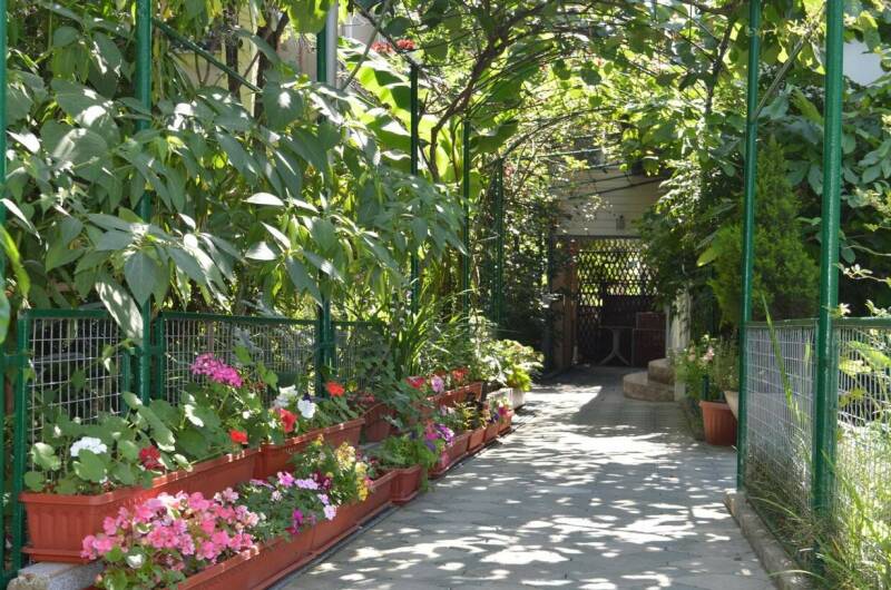 Изображение Изображение гостиницы "Гостевой дом «Азалия»" #3 #3