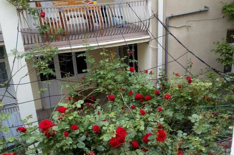 Изображение Изображение гостиницы "Гостевой дом «Азалия»" #8 #8