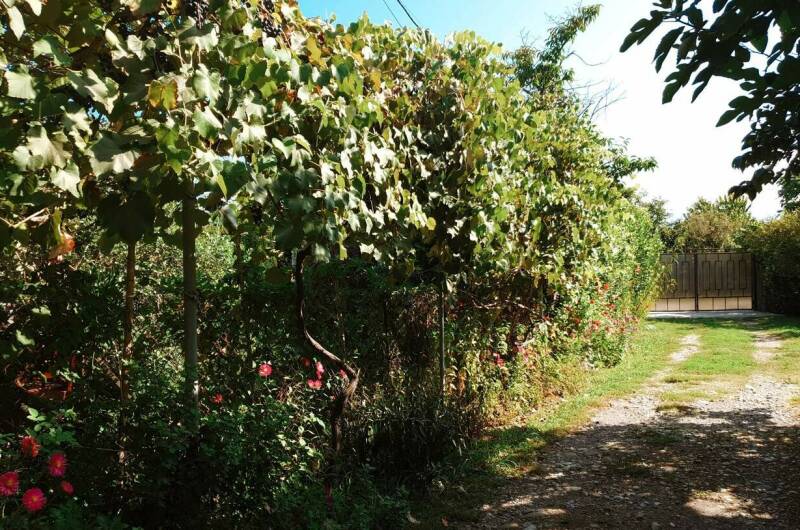 Изображение Изображение гостиницы "Гостевой дом «В гостях у Марты»" #3 #3