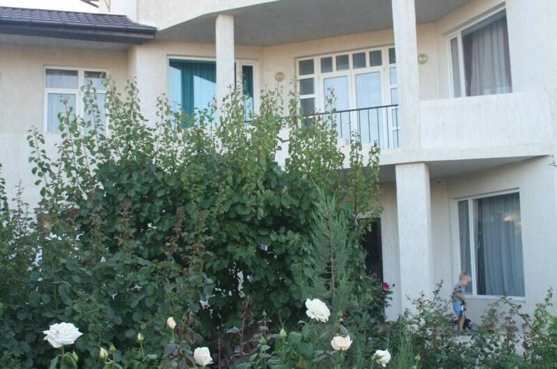 Изображение Изображение гостиницы &quot;Гостевой дом «Крымские каникулы»&quot; #6 #6