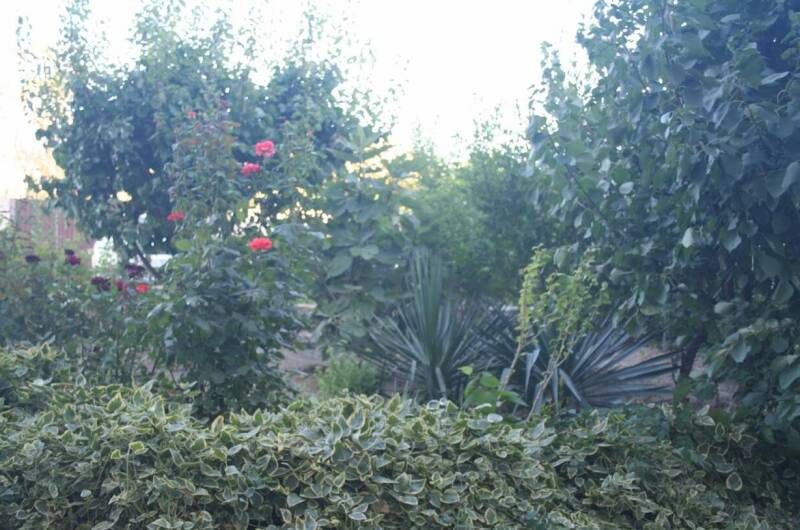 Изображение Изображение гостиницы &quot;Гостевой дом «Крымские каникулы»&quot; #7 #7